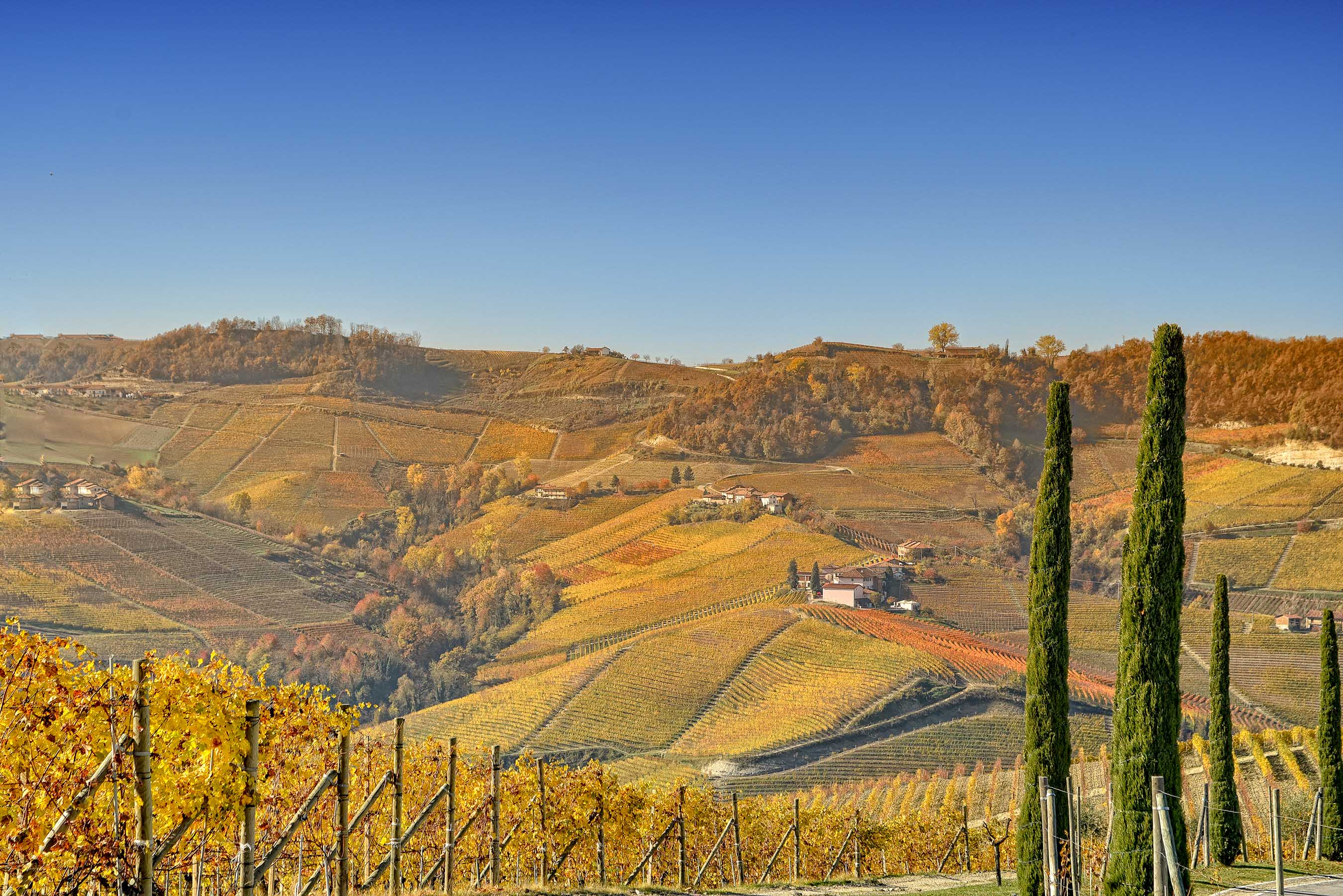 Colori di autunno al Boscareto Resort Spa sulle colline delle Langhe di Serralunga d'Alba  ph lefotodimarzo.it