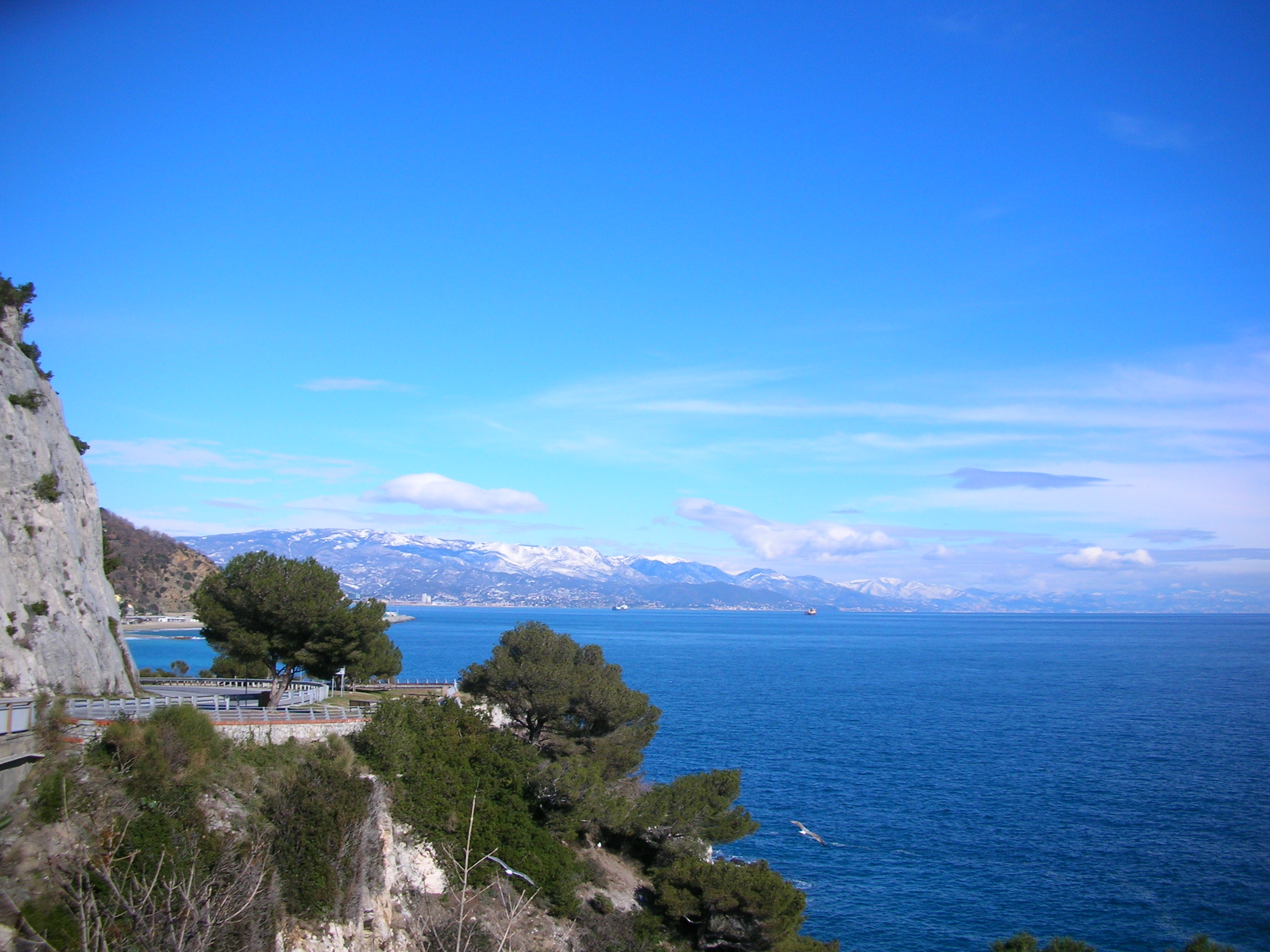 ph credits: the Municipality of Savona