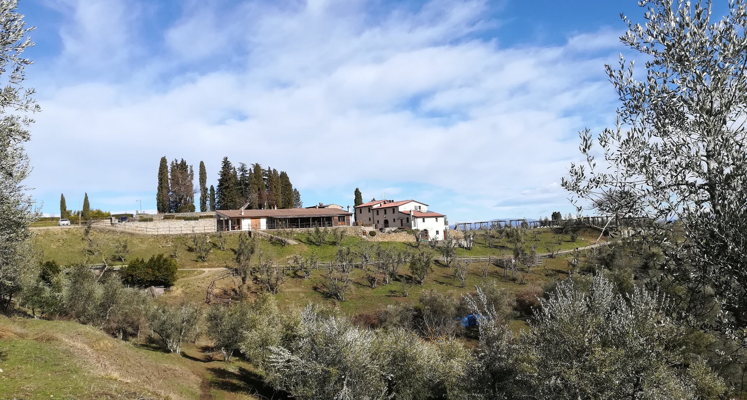 Elesta