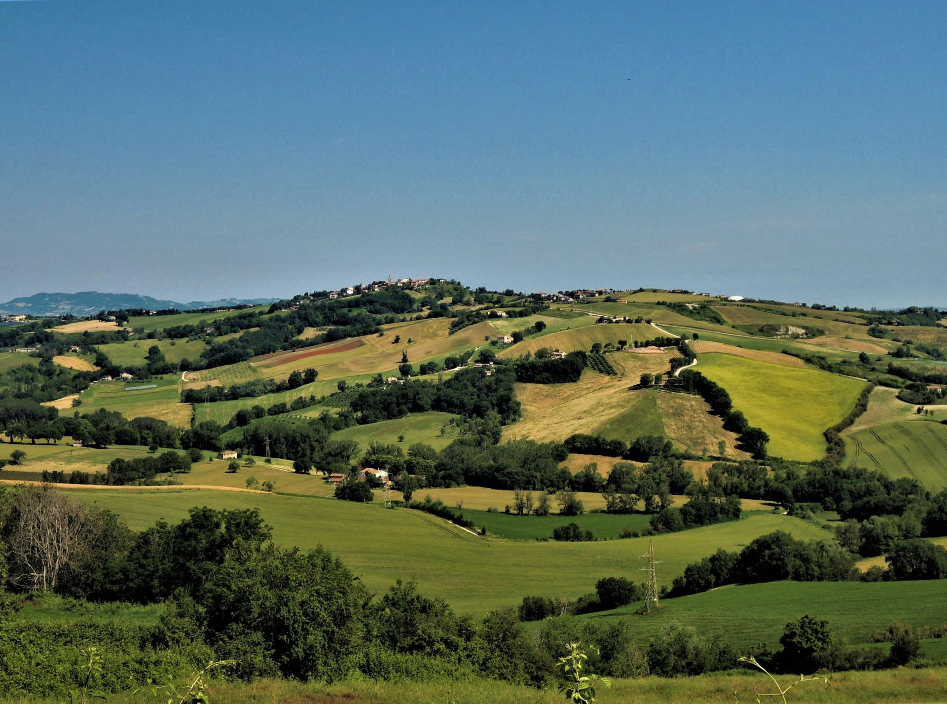 Ostra countryside