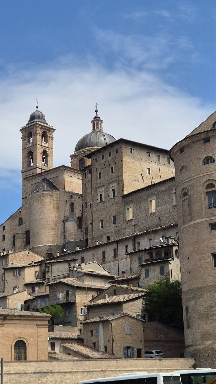 urbino