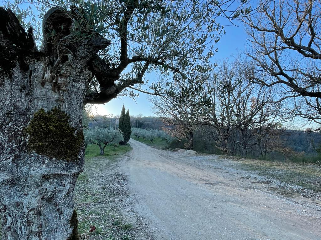Borghi Due Valli Umbria Trails