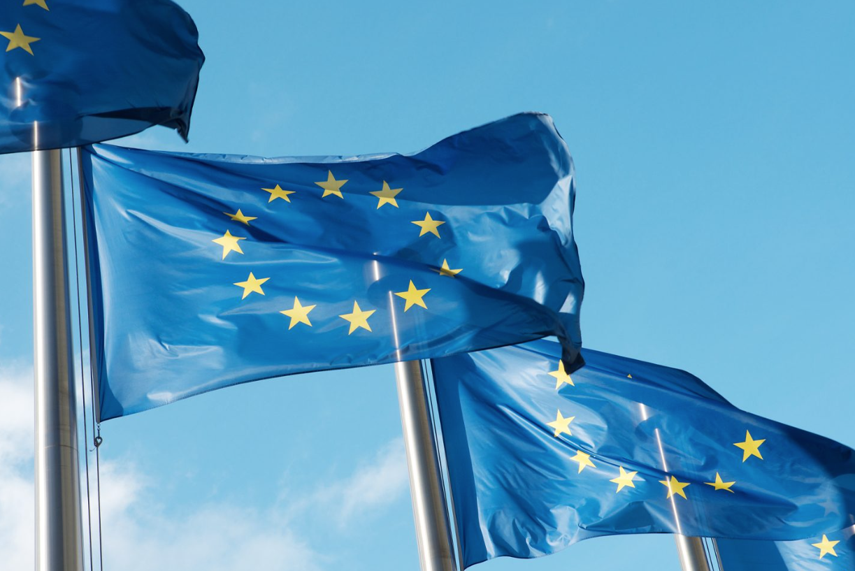 Europa EES 1