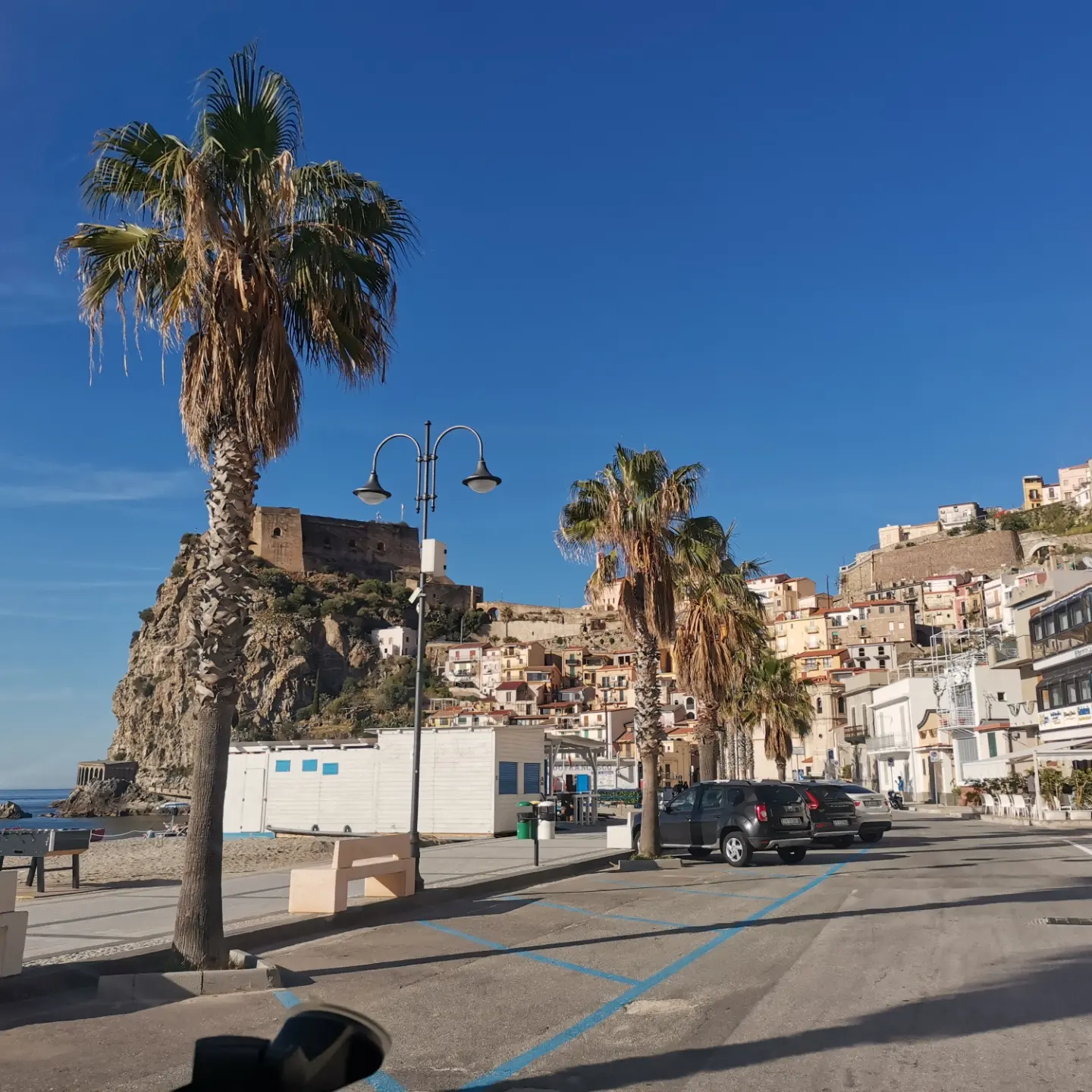Scilla