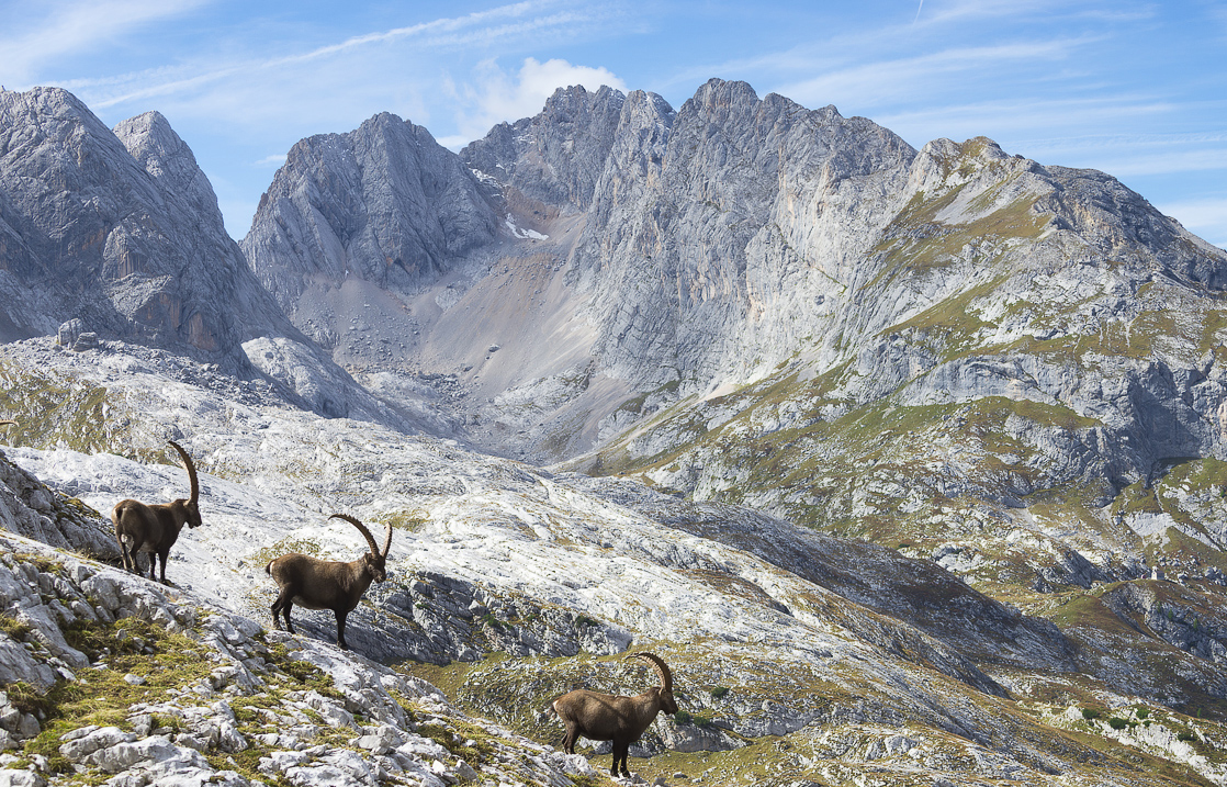Consorzio Turistico Tre Cime Dolomiti Ph Nicola Bombassei