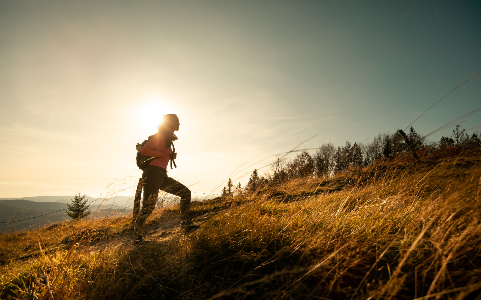 Trekking_in_Umbria.jpeg