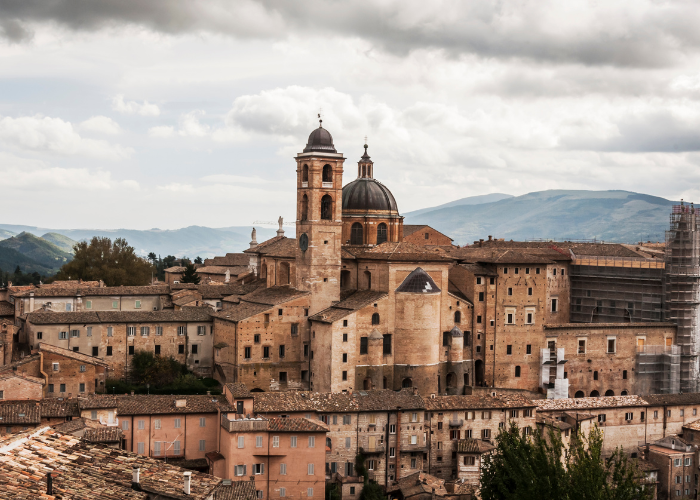 Urbino 2