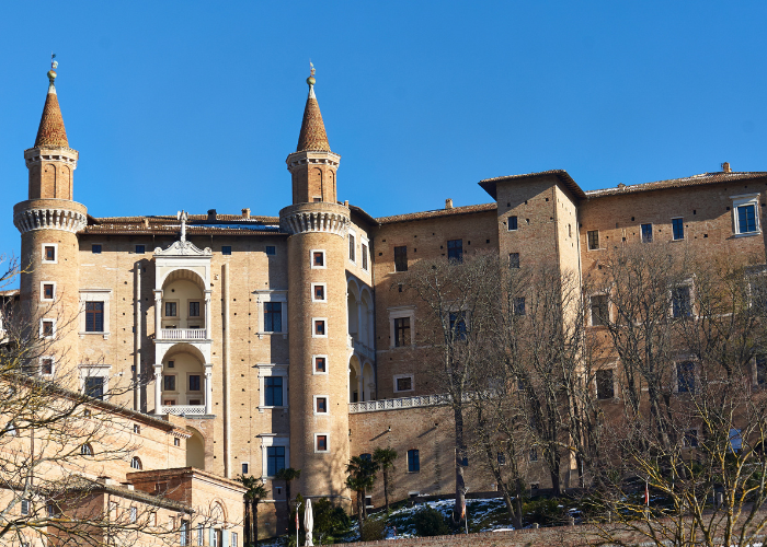 Urbino 3