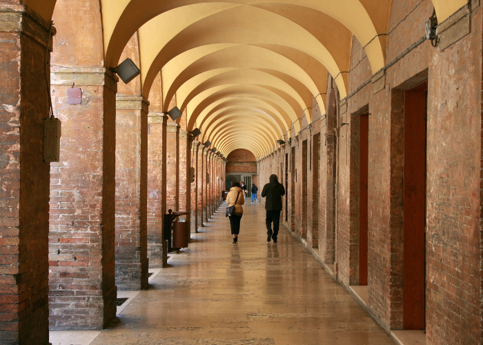 Urbino 5