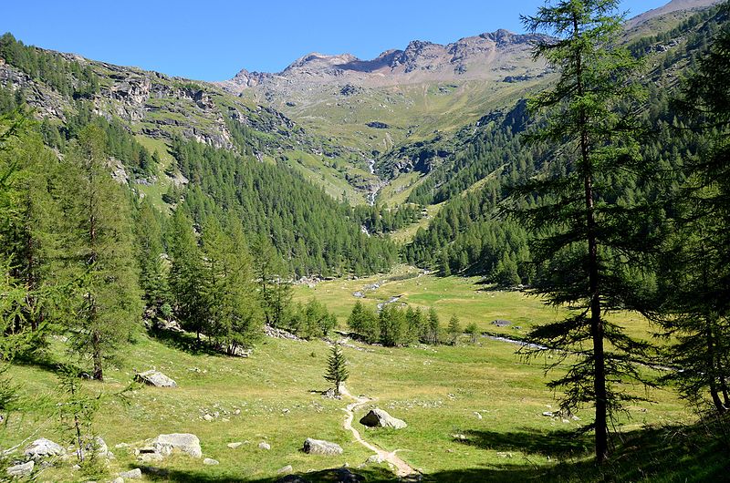 Val di Rabbi 2