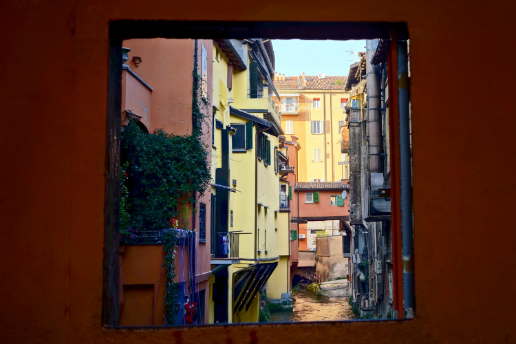 bologna_4.png