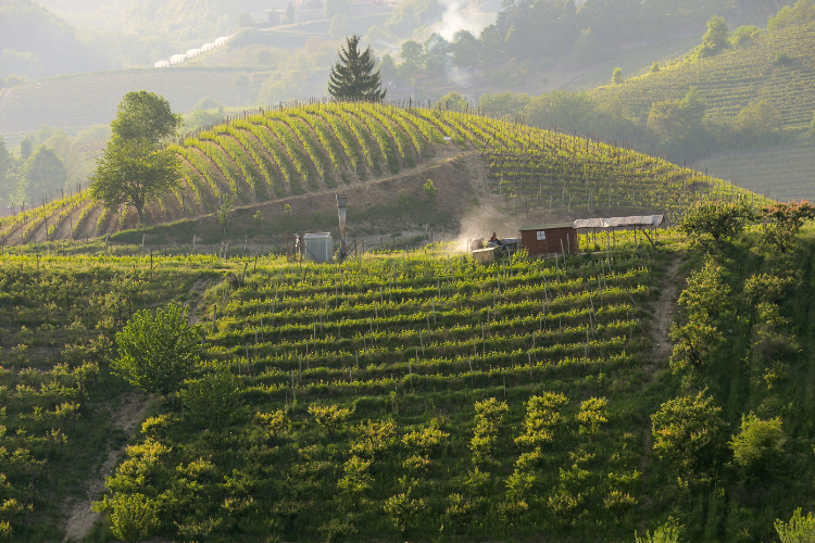 la-strada-romantica-delle-langhe-e-del-roero-2
