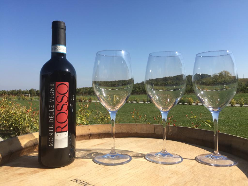 miniMonte-delle-Vigne-PR-foto-di-Carla-Soffritti-credit-Visit-Emilia-3
