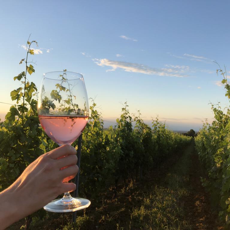 miniMonte-delle-Vigne-PR-foto-di-Carla-Soffritti-credit-Visit-Emilia-5
