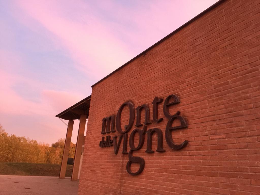 miniMonte-delle-Vigne-PR-foto-di-Carla-Soffritti-credit-Visit-Emilia-6