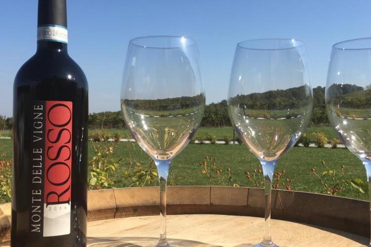miniMonte-delle-Vigne-PR-foto-di-Carla-Soffritti-credit-Visit-Emilia-3