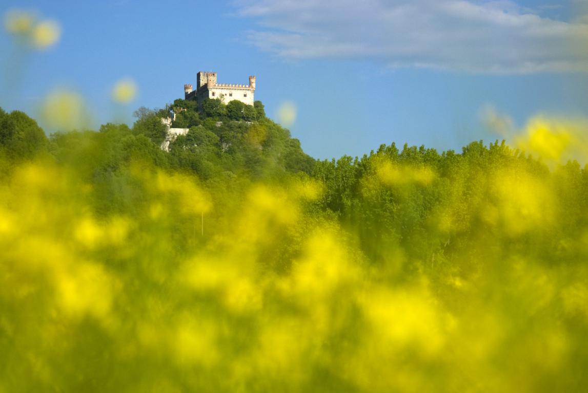 miniCastello-di-Montalto-Dora1-Un-castello-in-fiore