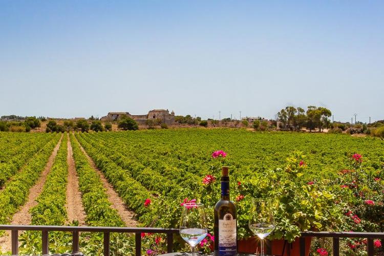miniRelais-Baglio-Oneto-dei-Principi-di-San-Lorenzo---Vista-vigneti