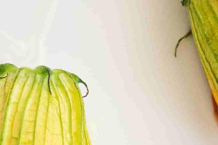 Food3Belstay-min