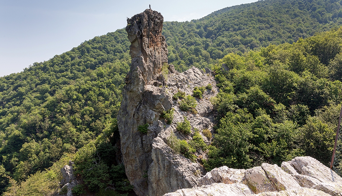 Viola---Rocca-dei-Corvi