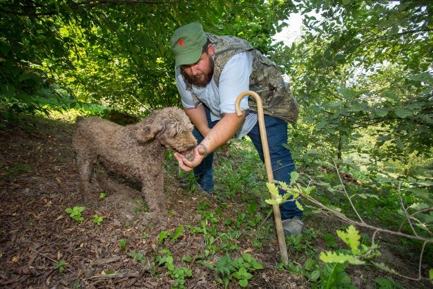 scagnello-raccolta-tartufo-2022-012673