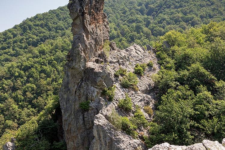 Viola---Rocca-dei-Corvi