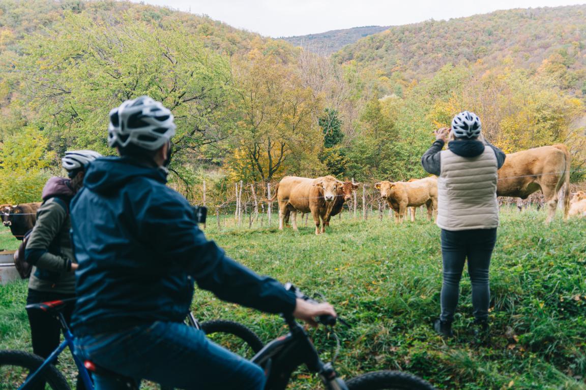 miniENJOY-PREPOTTObike1