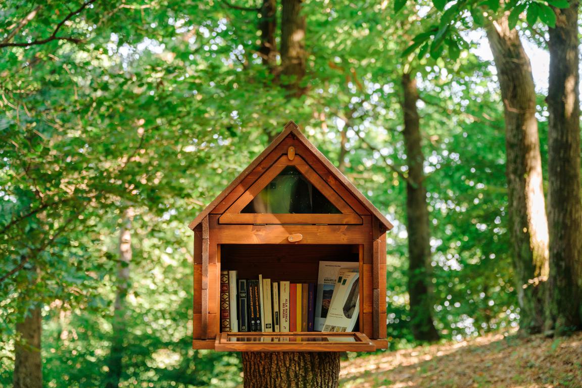 miniTenutaAnnunziataBookCrossing9857