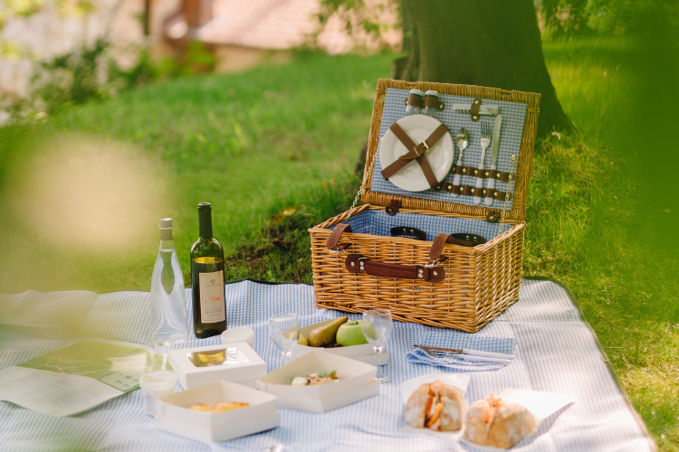 tenuta-de-lannunziata-lake-como-pic-nic