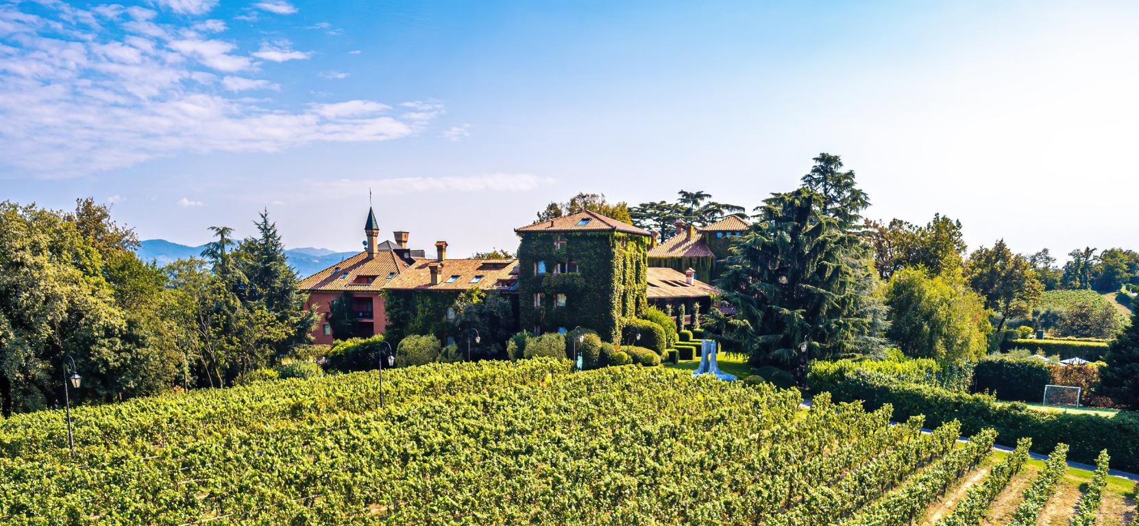 miniAlbereta-complex-from-vineyards-