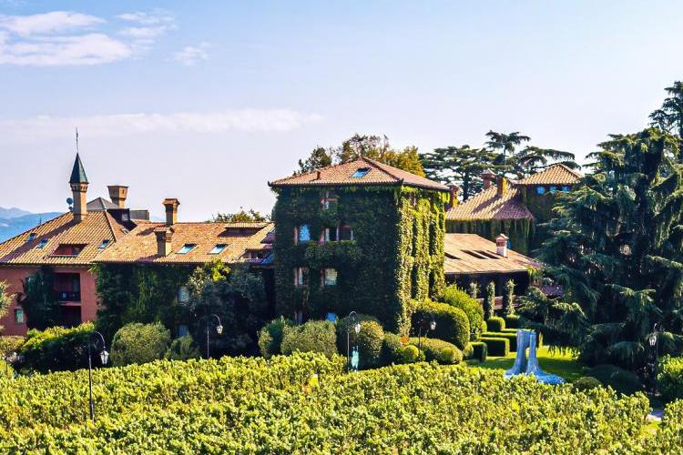 miniAlbereta-complex-from-vineyards-
