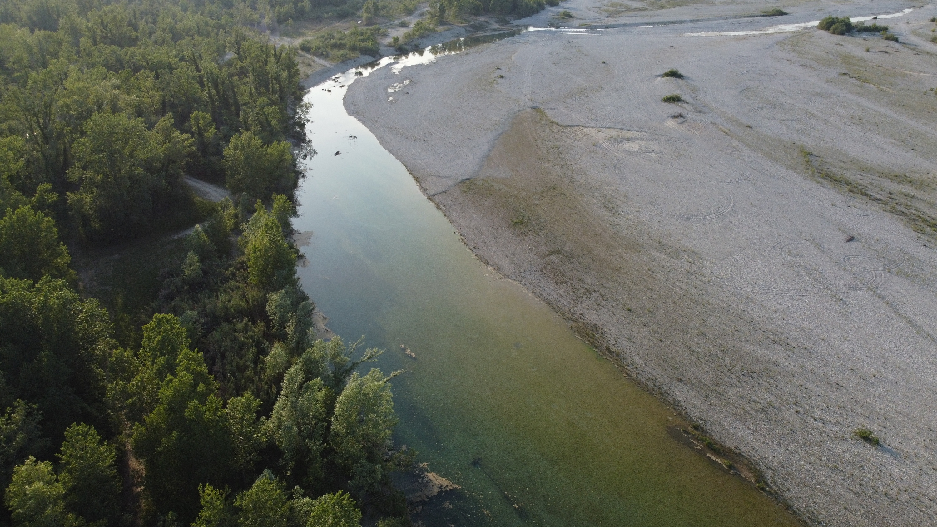 Tagliamento-fiume-zona-Morsano-DJI0535