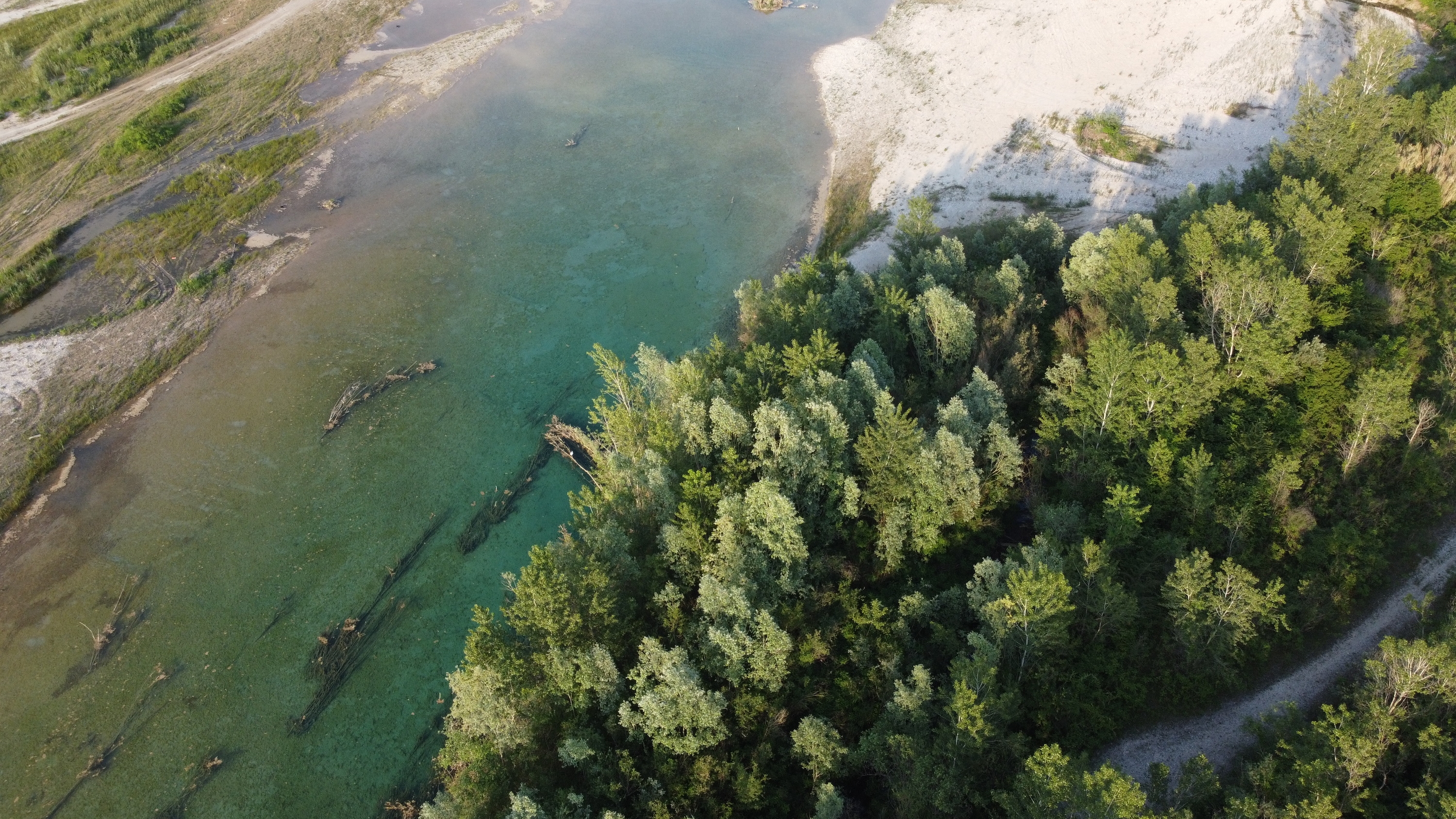 Tagliamento-fiume-zona-Morsano-DJI0539