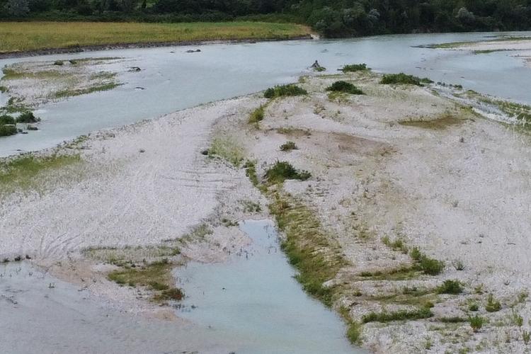 Tagliamento-Fiume-zona-San-Giorgio-San-Martino-DJI0099