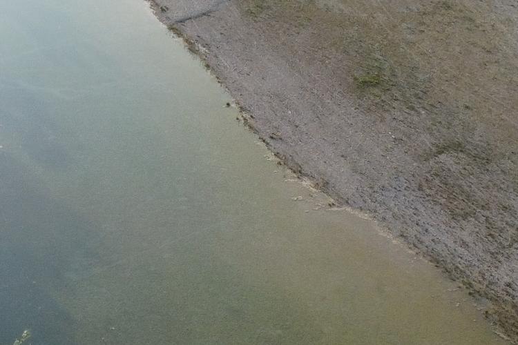 Tagliamento-fiume-zona-Morsano-DJI0535