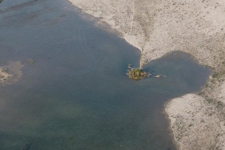 Tagliamento-fiume-zona-Morsano-DJI0538