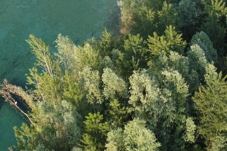 Tagliamento-fiume-zona-Morsano-DJI0539