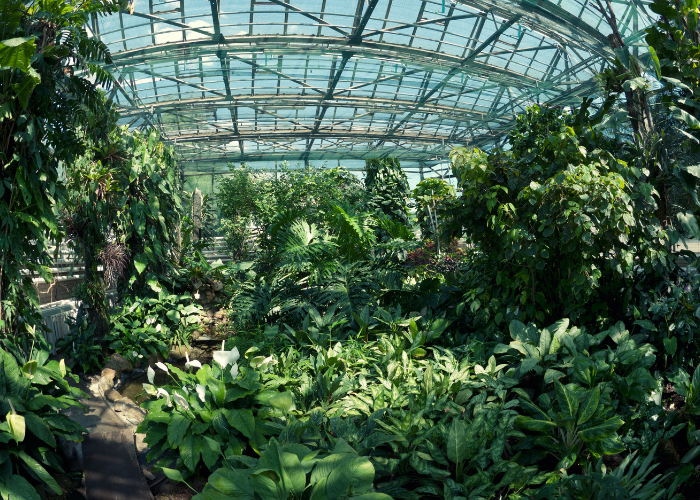 botanic-garden-1