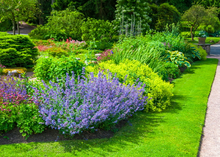 botanic-garden-3