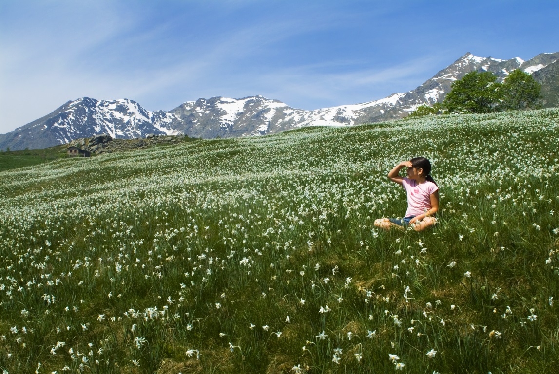 miniPIAN-DELLE-NERE-narcisi-foto-Luca-Chiartano