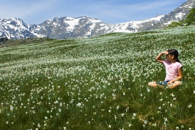 miniPIAN-DELLE-NERE-narcisi-foto-Luca-Chiartano