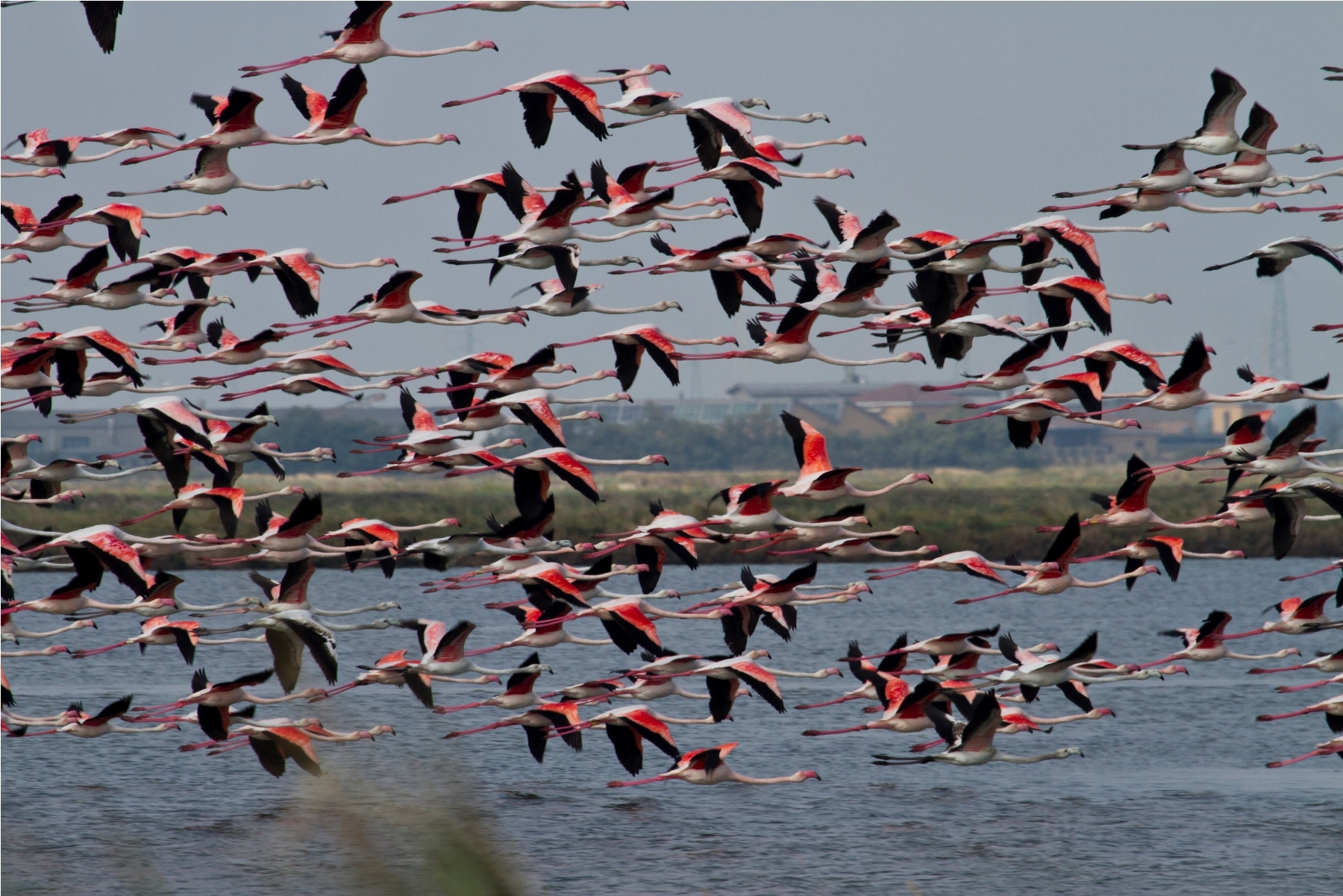 Cervia-e-parco-delta-del-po---foto-uff-stampa-Fucina-2