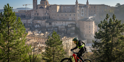 marche_urbino