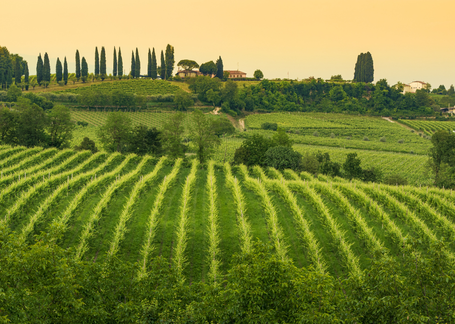 conegliano veneto