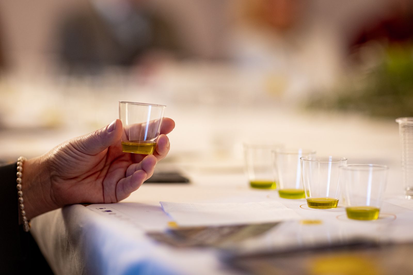 degustazioni Frantoi aperti in Umbria 2025