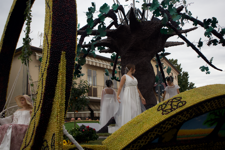grapes festival 2