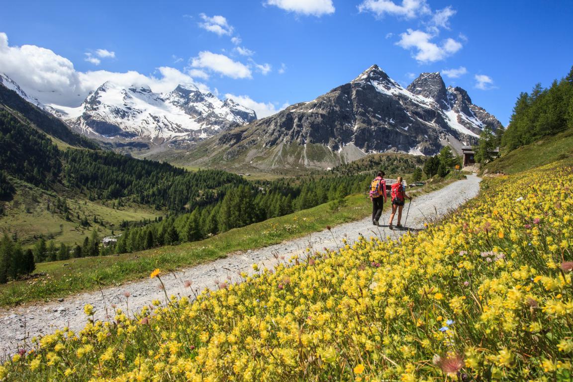 Valtellina