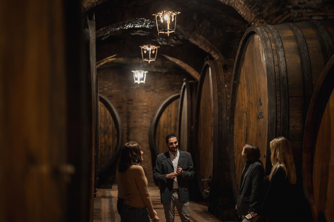Tommasi cellar