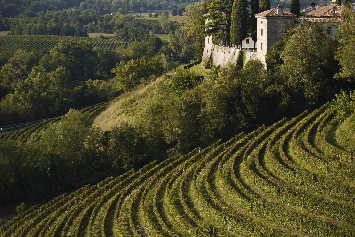 mini Collio credit Fabrice Gallina
