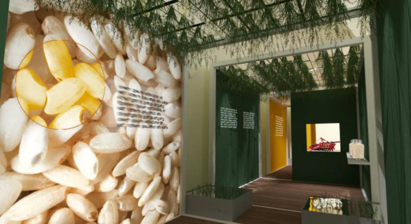 mini Risò Mostra Riflessi di riso